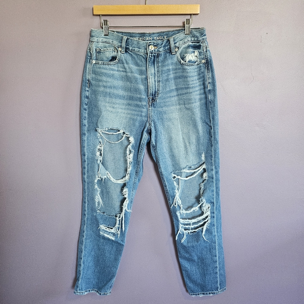 American Eagle High Waisted Ripped Distressed Retro Indie Grunge Ankle Mom Jeans